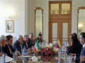 Iran, Venezuela must boost international cooperation: Zarif 